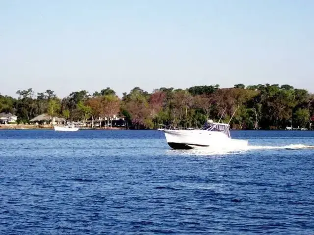 Luhrs 35 Express Cruiser