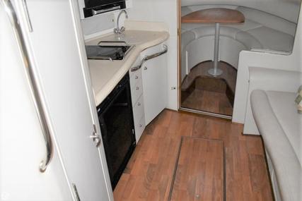 Sea Ray 330 Express Amberjack