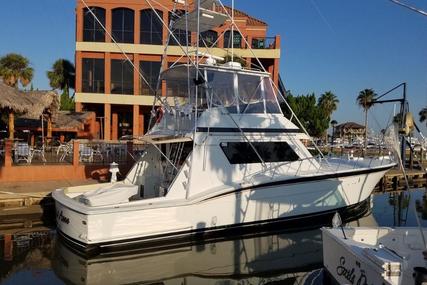 Hatteras 55 Convertible