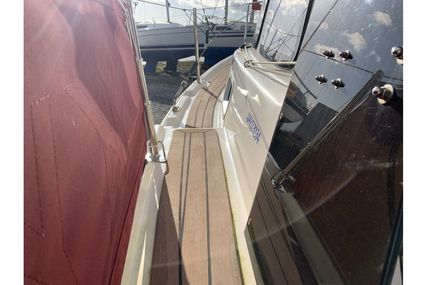 habor 620 gaff sloop