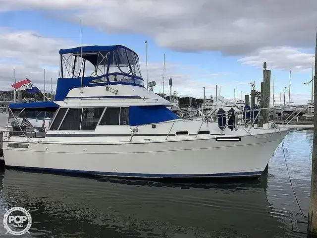 Bayliner Explorer 3270 Diesel