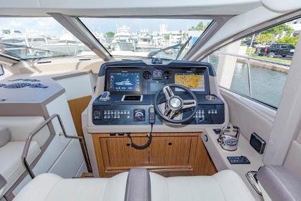 Sea Ray L550 Fly