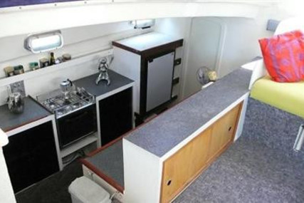 Fortuna ISLAND SPIRIT 35