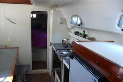 Fortuna ISLAND SPIRIT 35