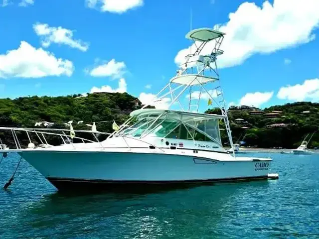 Cabo Express Charter Boat Company