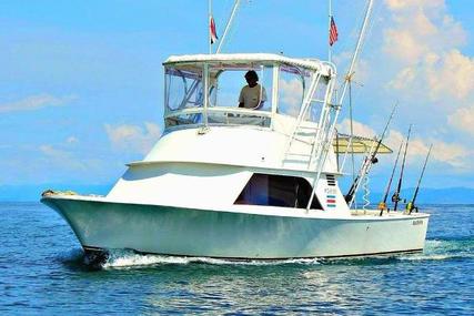 Cabo Express Charter Boat Company