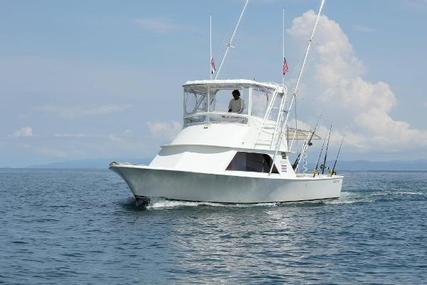 Cabo Express Charter Boat Company