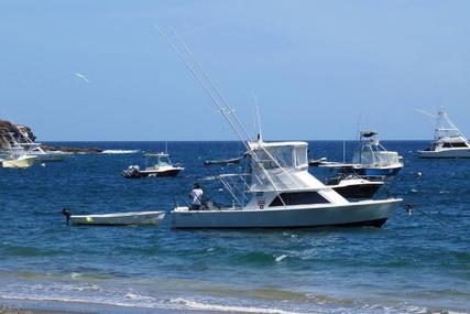 Cabo Express Charter Boat Company