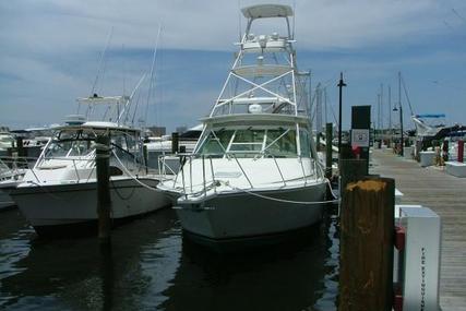 Cabo Express Charter Boat Company