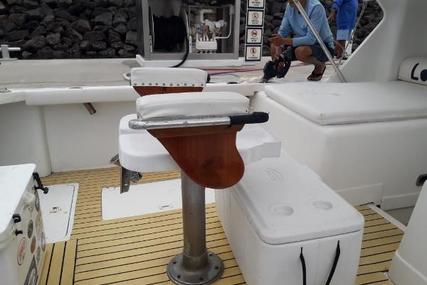 Cabo Express Charter Boat Company