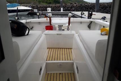 Cabo Express Charter Boat Company