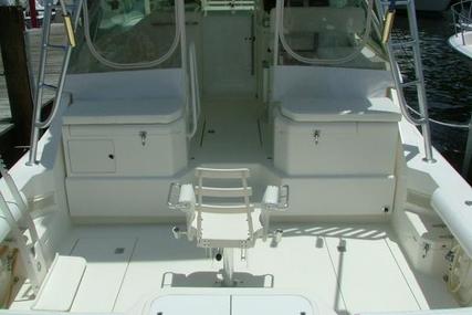 Cabo Express Charter Boat Company