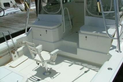 Cabo Express Charter Boat Company