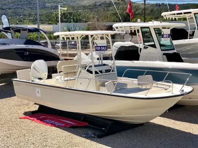 Boston Whaler 210 Montauk