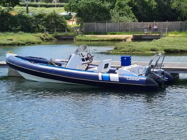 Cobra Rib 6.6