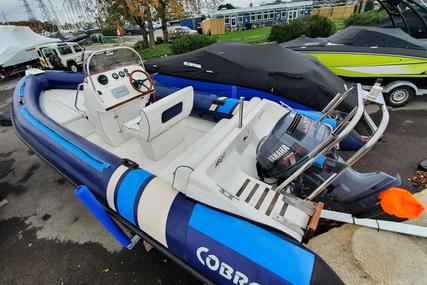 Cobra Rib 6.6