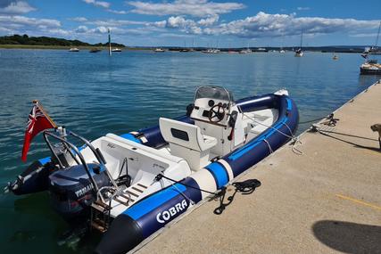 Cobra Rib 6.6