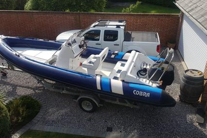 Cobra Rib 6.6