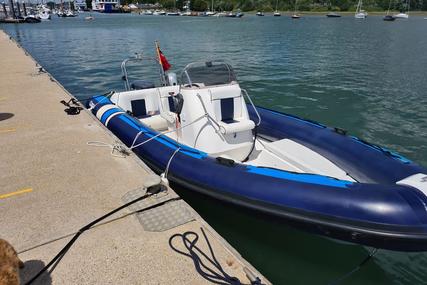 Cobra Rib 6.6