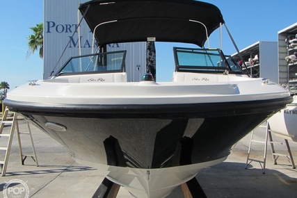 Sea Ray 190 SPX