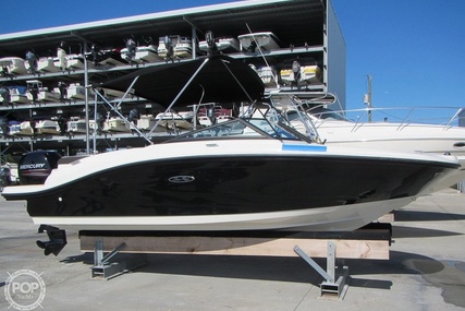 Sea Ray 190 SPX