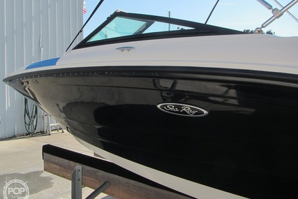 Sea Ray 190 SPX