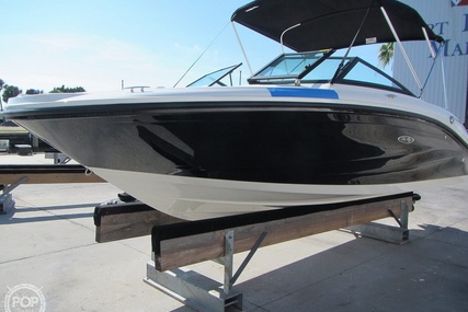 Sea Ray 190 SPX