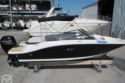 Sea Ray 190 SPX