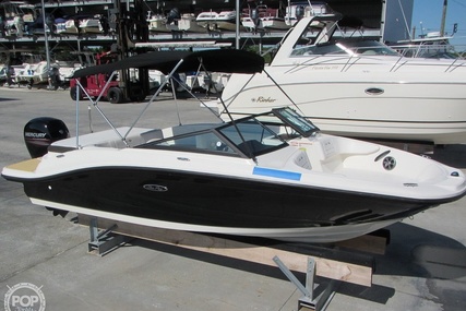 Sea Ray 190 SPX