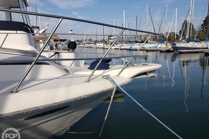 Sea Ray 410 Aft Cabin