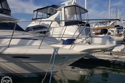 Sea Ray 410 Aft Cabin