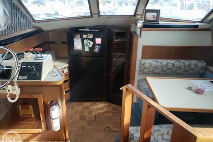 Sea Ray 410 Aft Cabin