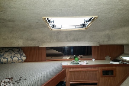 Sea Ray 410 Aft Cabin