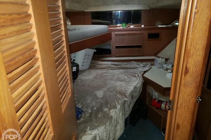 Sea Ray 410 Aft Cabin