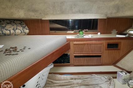 Sea Ray 410 Aft Cabin