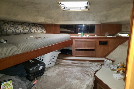 Sea Ray 410 Aft Cabin