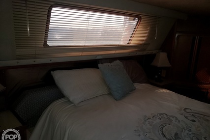 Sea Ray 410 Aft Cabin