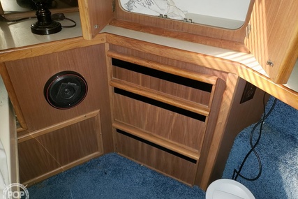 Sea Ray 410 Aft Cabin