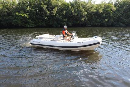 Williams Boats DIESELJET 445