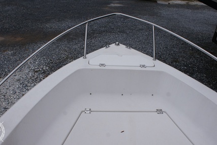 Sea Fox 197 Center Console