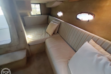 Bayliner 3555 Avanti