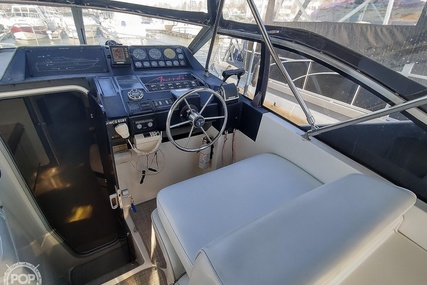 Bayliner 3555 Avanti