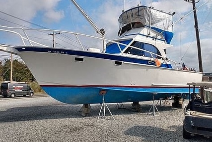 Striker 36