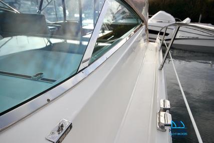 Sealine Sport 35