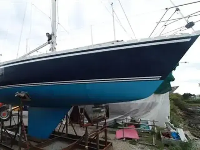 Contessa 34