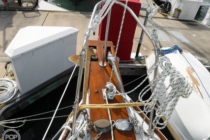 Herreshoff H 31