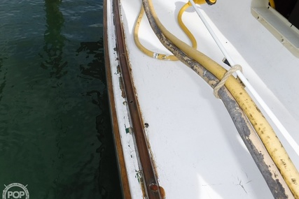 Herreshoff H 31