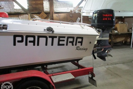 Pantera Boats 24