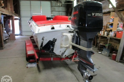 Pantera Boats 24