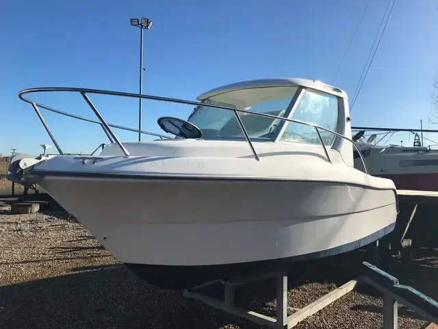 Sessa Marine Dorado 20